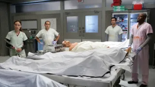 Dr. House V (1)