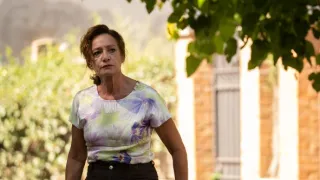 Signora Volpe II (1/3)