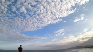 Zvieratá s kamerami