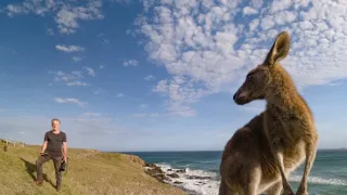 Zvieratá s kamerami