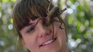 Fascinujúci Nový Zéland