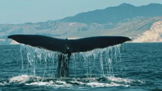 Fascinujúci Nový Zéland