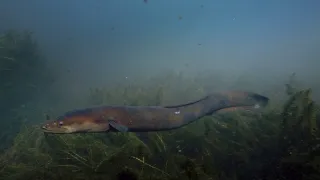 Fascinujúci Nový Zéland