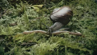 Fascinujúci Nový Zéland