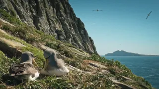 Fascinujúci Nový Zéland