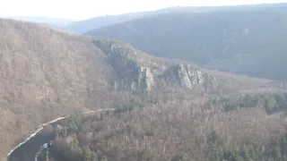 Návraty k divočině