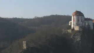 Návraty k divočině