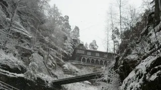 Návraty k divočině