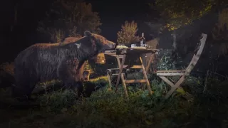 Rumunsko: Země medvědů