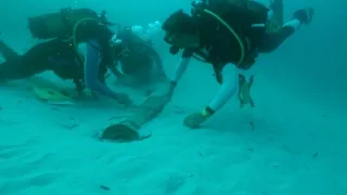 Mozambik, ostrov mimo času