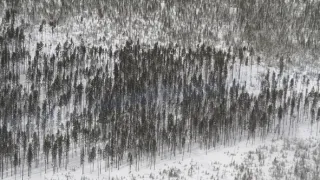 Všechny krásy Yellowstonu