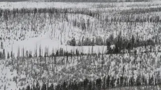 Všechny krásy Yellowstonu