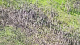 Všechny krásy Yellowstonu