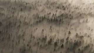 Všechny krásy Yellowstonu