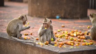 Divoká tvár Thajska (1/2)