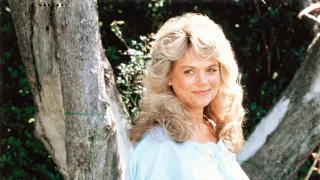 Pomsta Ružového pantera