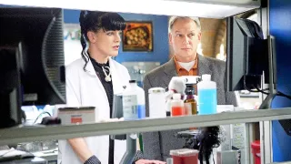 NCIS - Námorný vyšetrovací úrad VIII (19)
