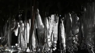 Nepál, sídlo bohov