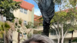 Határtalan szerelem (18)