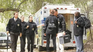 NCIS - Námorný vyšetrovací úrad VIII (23)