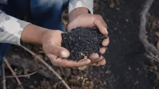 Kapverdy, duhová země