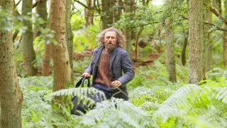 Borgman