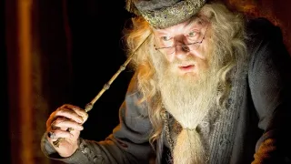 Harry Potter a Ohnivý pohár