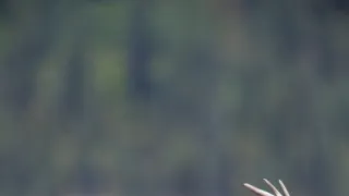 Divoká Aljaška (2/3)