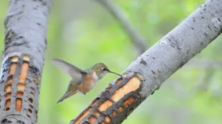Divoká Aljaška (2/3)