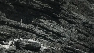 Humboldtův proud (2/3)