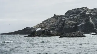 Humboldtův proud (2/3)