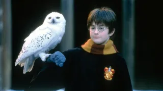 Stříbrné plátno (6/12)