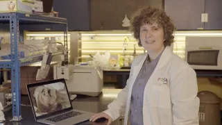 Objasněné záhady egyptských mumií