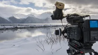 Zvířecí superschopnosti