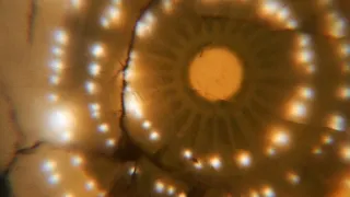 První kontakt - Setkání s mimozemšťany (2/2)