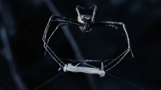 Proč je máme rádi