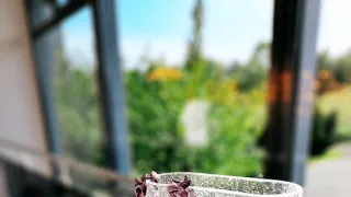 Fenomén českého skla (3/6)