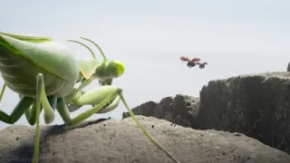 Chrobáčikovia 2: Ďaleko od domova