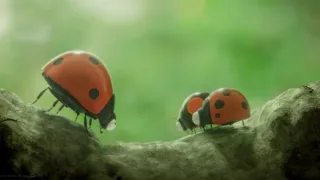 Chrobáčikovia 2: Ďaleko od domova