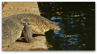 Bangkok, mesto zrodené z vody