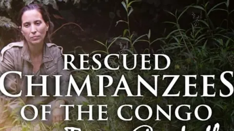Útulek pro záchranu šimpanzů Jane Goodallové (6/6)