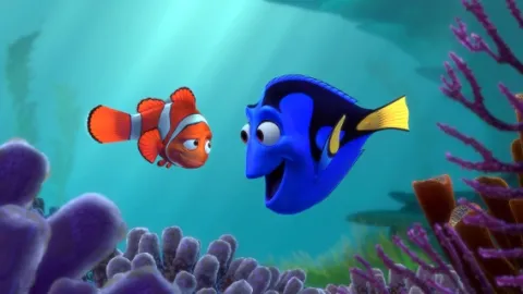Hľadá sa Nemo