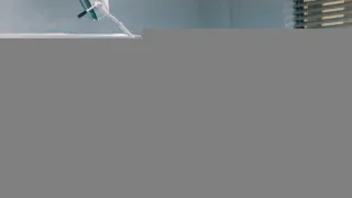 Přátelé V (18)
