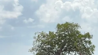 Měnící se planeta (2/2)
