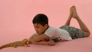 Skrytý život našich domácích mazlíčků (3/4)