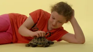 Skrytý život našich domácích mazlíčků (3/4)
