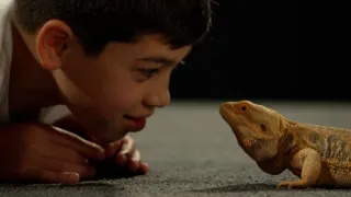 Skrytý život našich domácích mazlíčků (3/4)