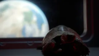 Skrytý život našich domácích mazlíčků (3/4)