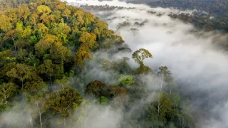 Zázračná planeta: Zelená planeta (1/5)