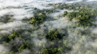 Zázračná planeta: Zelená planeta (1/5)